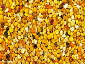 Pollen 100g